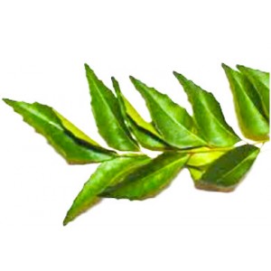 Curry Leaves 15g