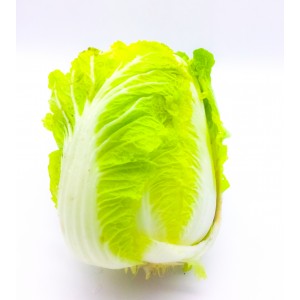 Cabbage Chinese  wombok-   whole