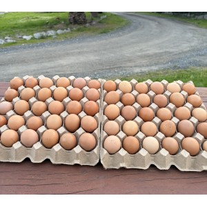Special 500g Egg Trays 2 for $12 