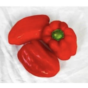 Special Red Capsicum - 1kg 