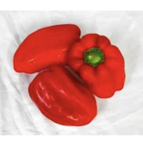 Special Red Capsicum - 1kg 