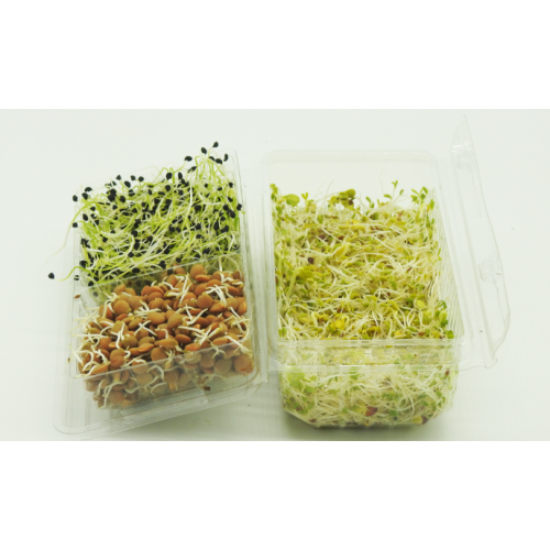 Trio Sprouts Selection