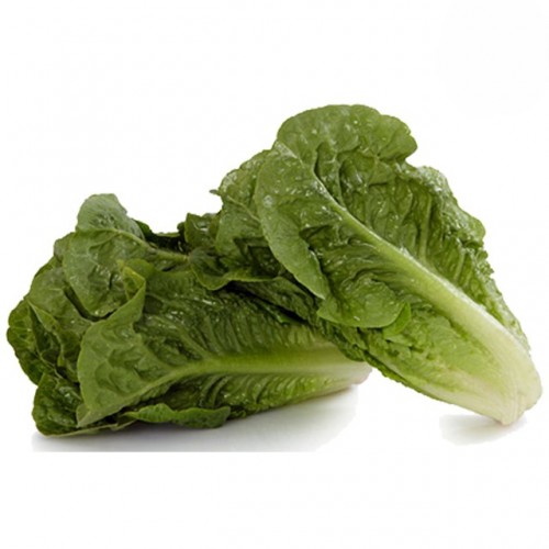 Lettuce - Cos Baby (Twin Pack)