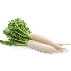 Radish - Daikon (Each) Grown on Our Farm