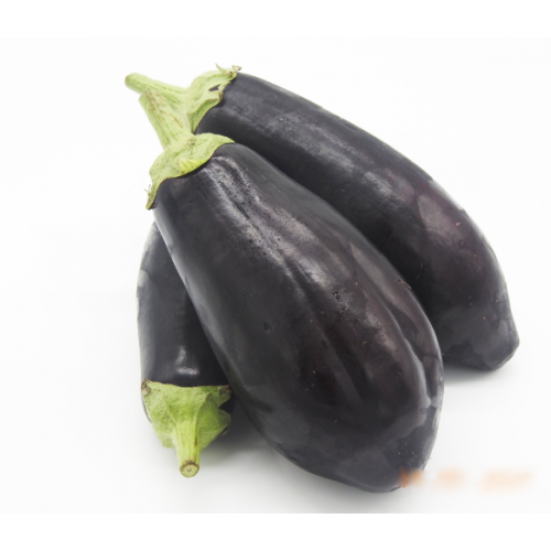 Special Organic Eggplants Grown On Our Farm (1kg)!!!!