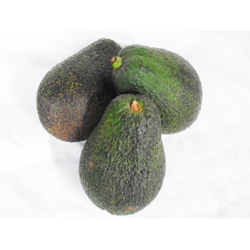 Avocados (Semi Ripe/Hard)