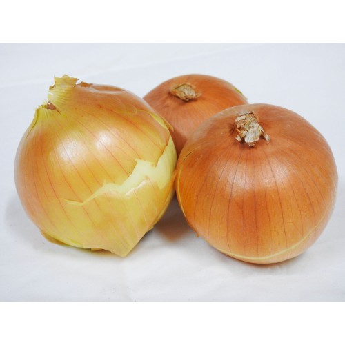 Onions - Brown - each