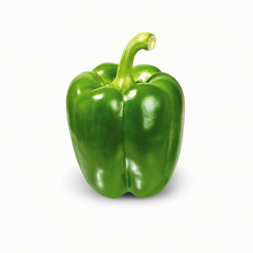 Special 1kg Organic Green Capsicum (grown on our farm )