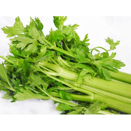 Celery - WHOLE