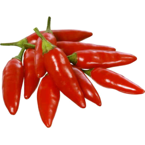 Chillies - Mexican Bullet (Hot)