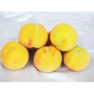 Peaches (Clingstones)