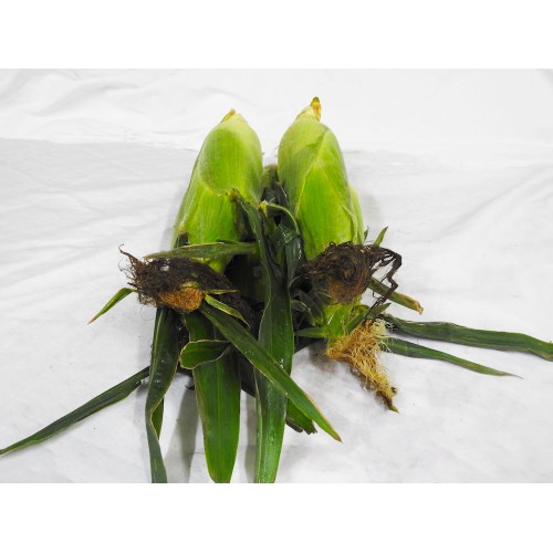 Special Corn 2 for $3!