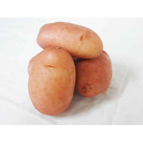  Potatoes - Desiree (Each)