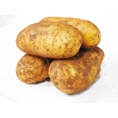 Dutch Cream (1kg) - New season