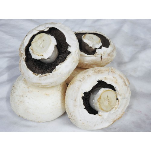 Mushrooms - Flat 500g