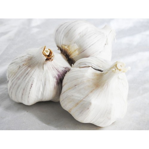 Garlic - Australian