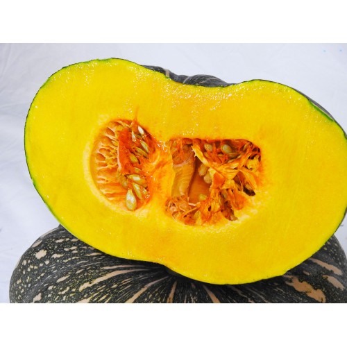 Pumpkin - Jap (Qtr)