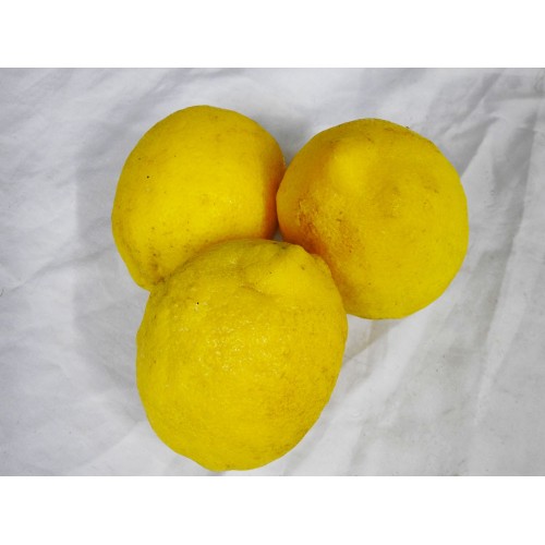 Special 1kg Lemons