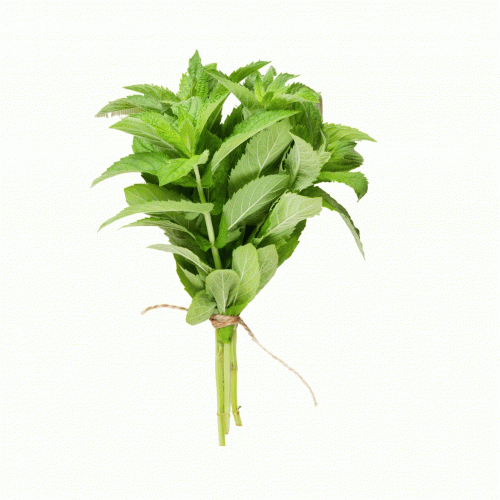 Mint (per bunch)