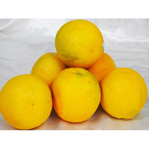 Oranges  (2KG)