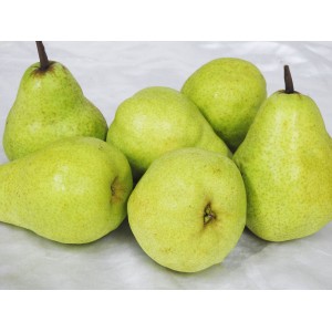 special 1kg  pears