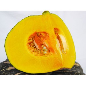Pumpkin - Jap (Quarter)