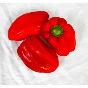 Capsicums - Red Each