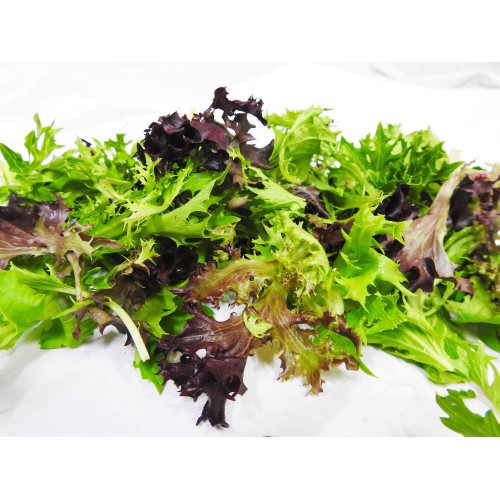 Lettuce - SALAD MIX 500g