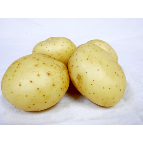 Potatoes - Washed (1kg)