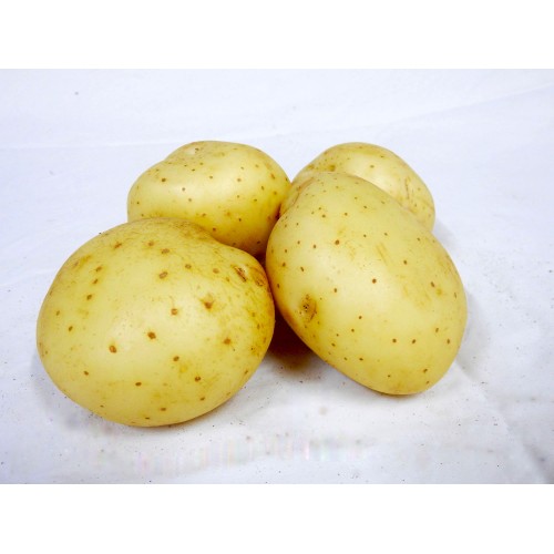 Potatoes Washed 5kg Bag