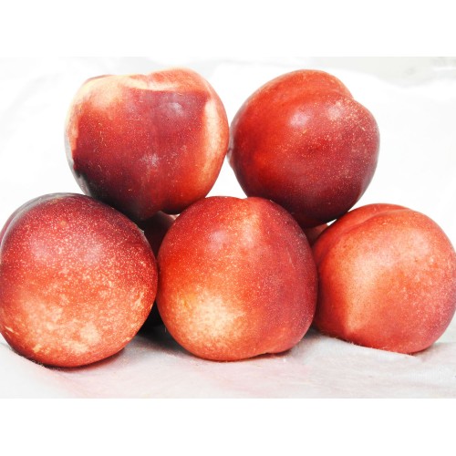 Nectarines (White) 1kg