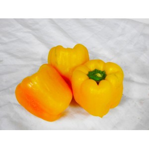 Capsicums - Yellow Each