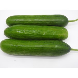 Cucumbers - Lebanese 