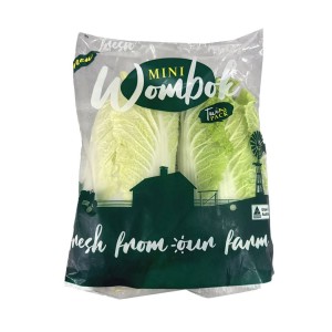 Cabbage - Chinese Mini Wombok (Twin Pack)