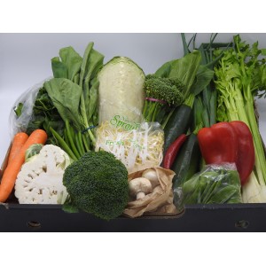 Perfect Steam it /Stir Fry Box