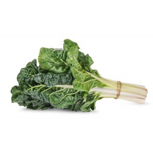 Silverbeet 2 for $4.99 - Grown on Our Farm!!