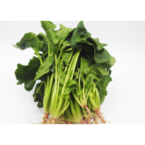 Spinach-English Per Bunch