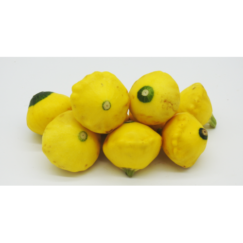 Organic Squash Grown On Our Farm (1kg)