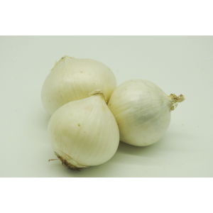 Onions - White fresh Salad