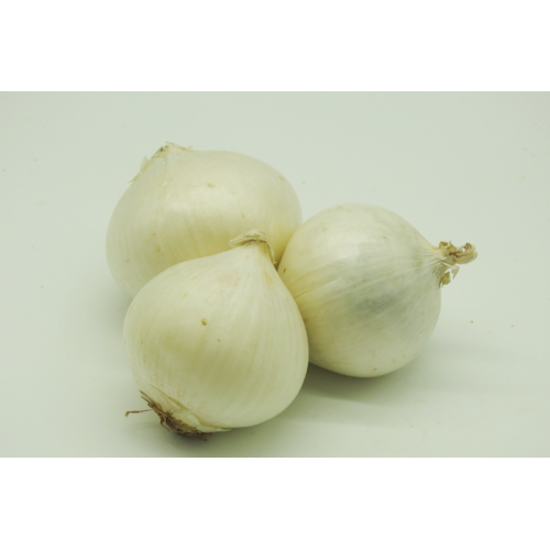 Onions - White fresh Salad